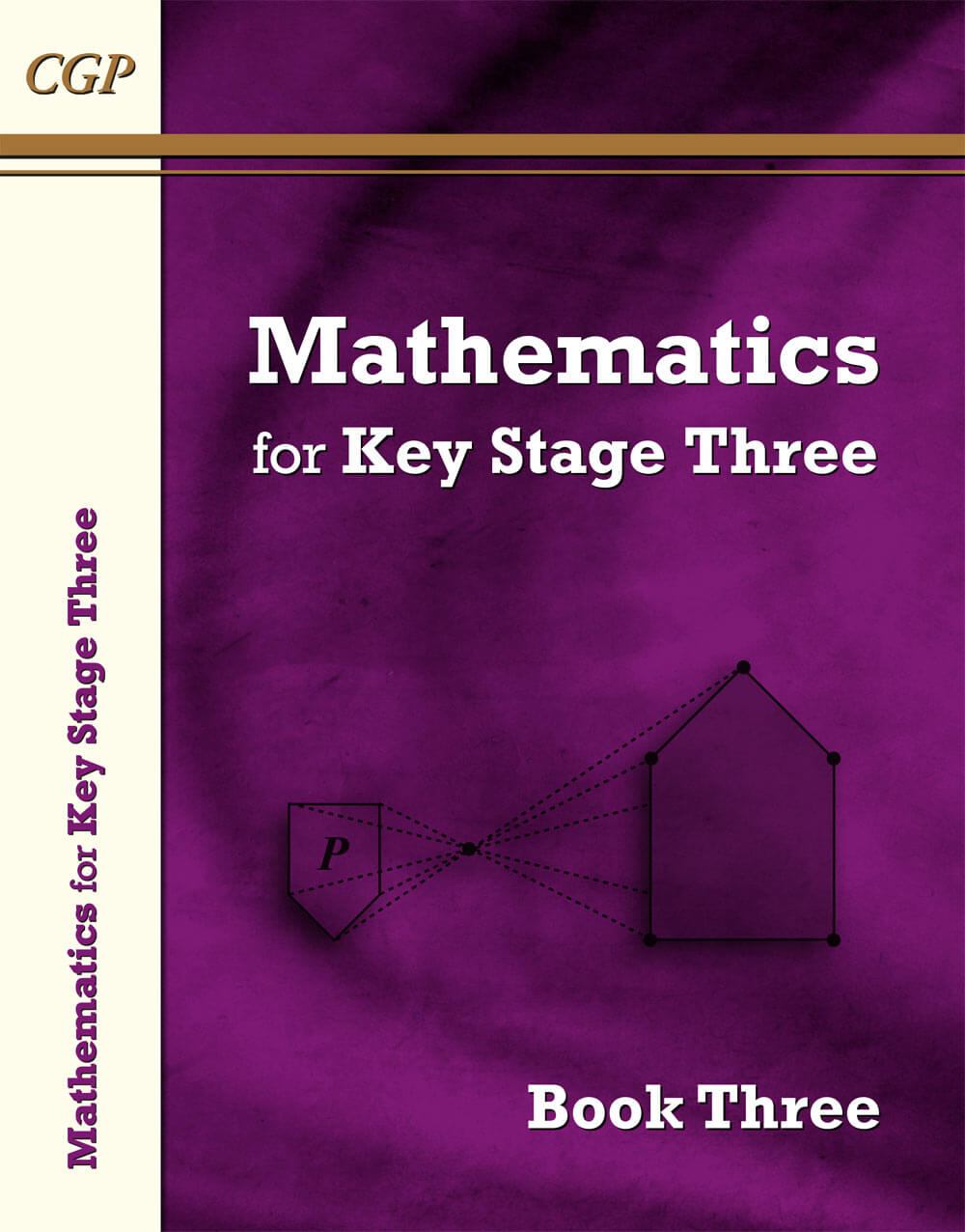 CGP KS3 Maths Textbook 3
