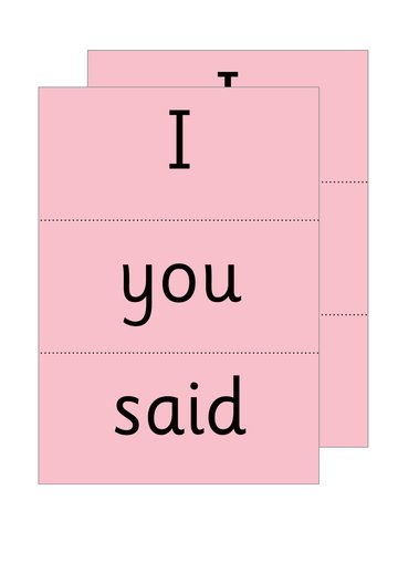 Read Write Inc - Phonics Teaching Words Red Word Cards Single