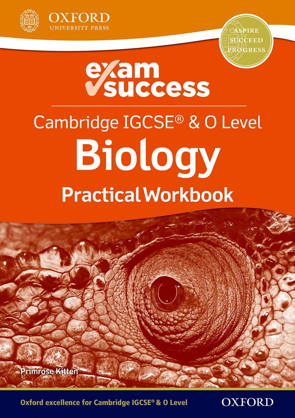 Cambridge IGCSE & O Level: Exam Success Practical Workbook