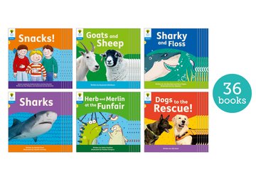 Floppy's Phonics Decoding Practice: Oxford Level 3: Class Pack of 36